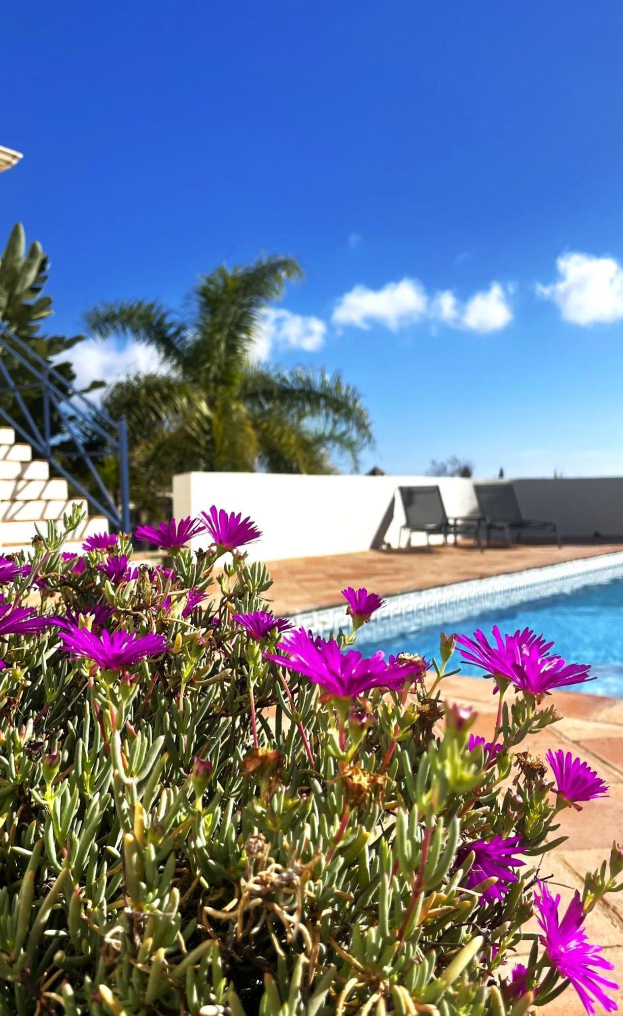 Boutique Hotel Maravilla - Marbella Benahavís Extérieur photo