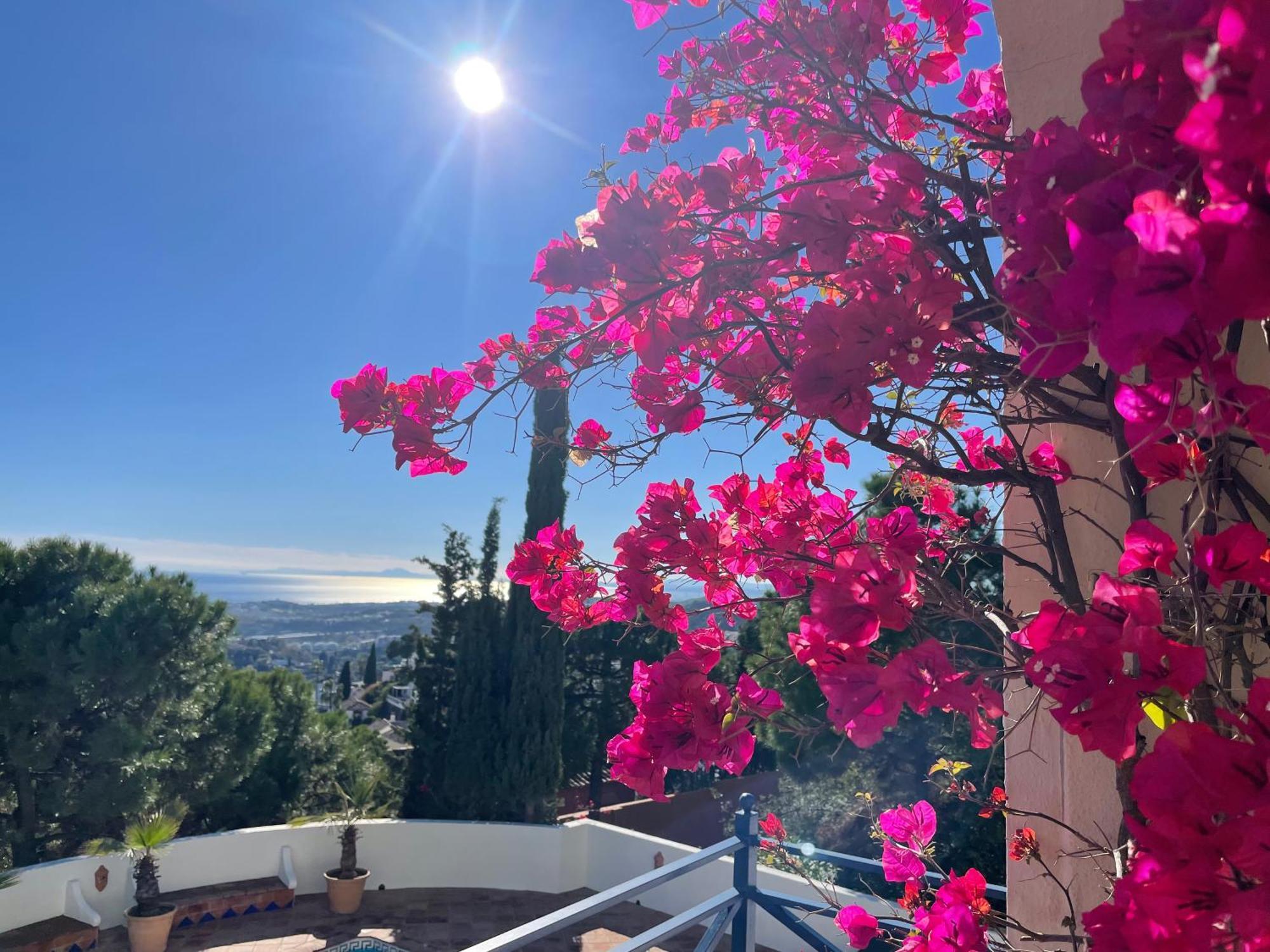 Boutique Hotel Maravilla - Marbella Benahavís Extérieur photo