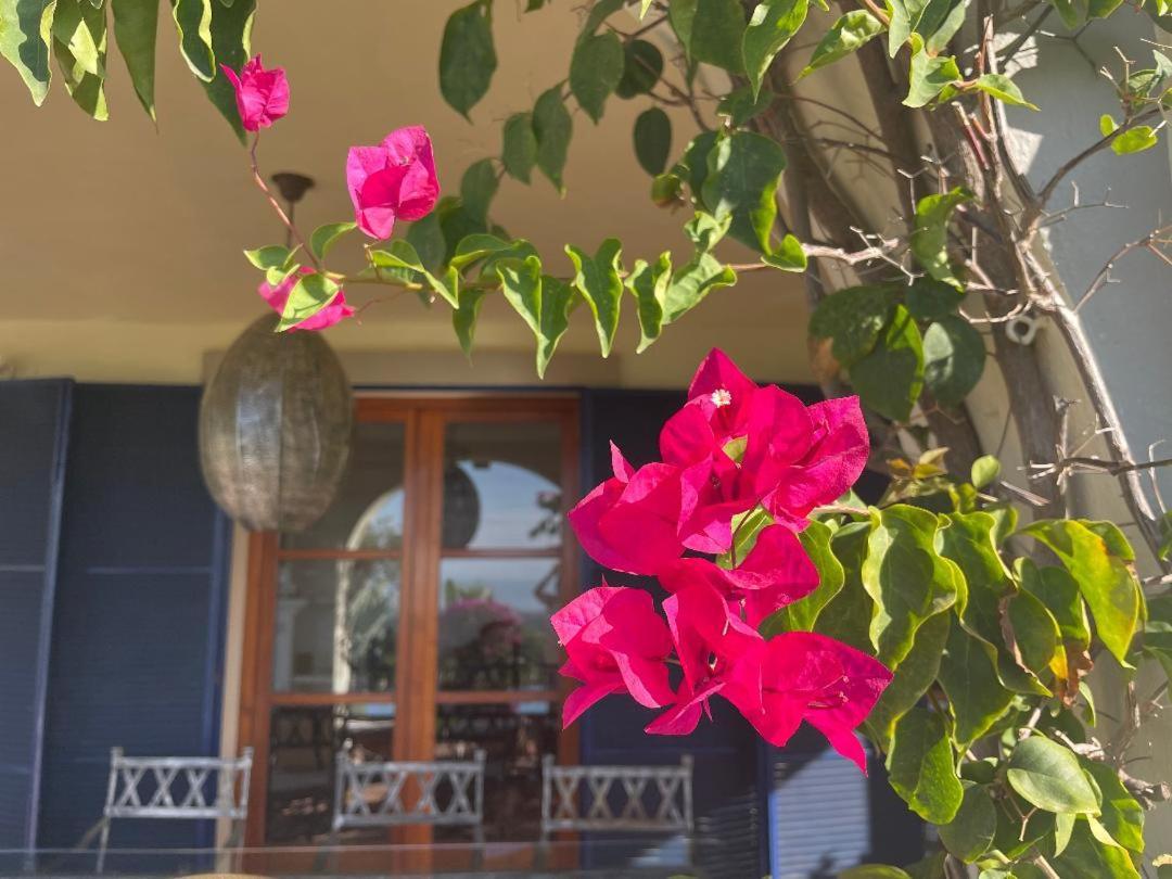 Boutique Hotel Maravilla - Marbella Benahavís Extérieur photo